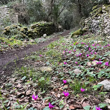 Les Jardins Ensoleilles De Piale Lejlighed Bonifacio (Corsica)