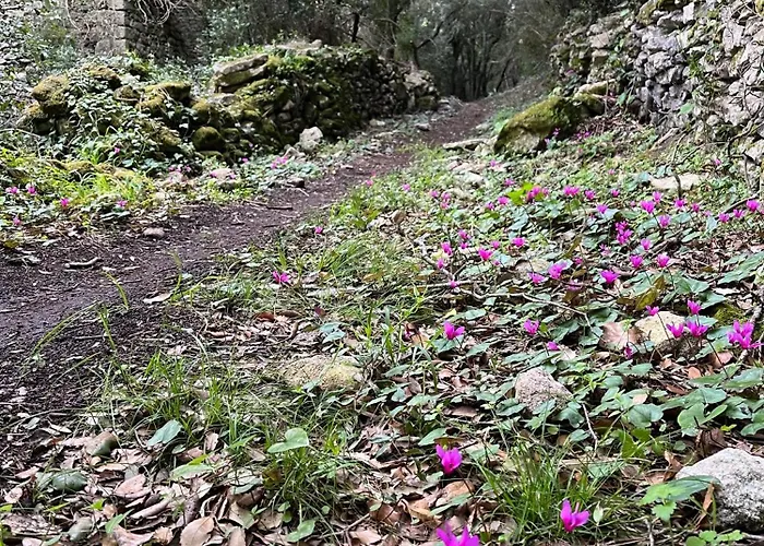 Les Jardins Ensoleilles - T2 Spacieux & Confortable Appartement Bonifacio (Corsica)
